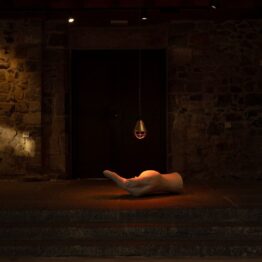 Limina: Koen Vanmechelen y un Chillida Leku galliforme