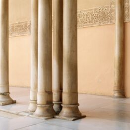 Bleda y Rosa. Patio de los leones, 2005. Museo Universidad de Navarra