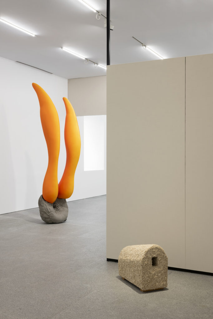 Vista de la Sala 13 Nuevos materialismos, con obras de Teresa Solar Abboud y Joan Rom. © Teresa Solar, VEGAP, Madrid, 2026. Fotografía: Roberto Ruiz