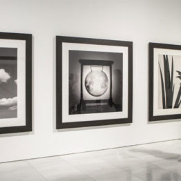 Chema Madoz. "Las reglas del juego". Sala Alcalá 31