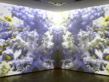 Pipilotti Rist, Sip My Ocean (Schlürfe meinen Ozean), 1996. Collection Museum of Contemporary Art, Chicago