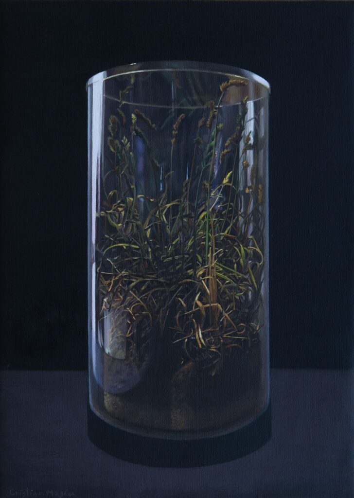 Cristina Megía. Naturaleza muerta, 2026