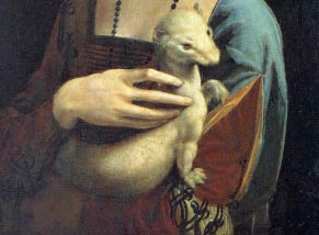 Fragmento de la obra de Leonardo da Vinci La Dama del Armiño