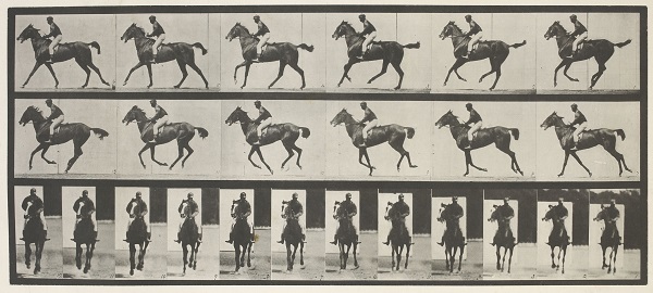  Eadweard Muybridge. Cheval au galop, 1887. Musée d´ Orsay