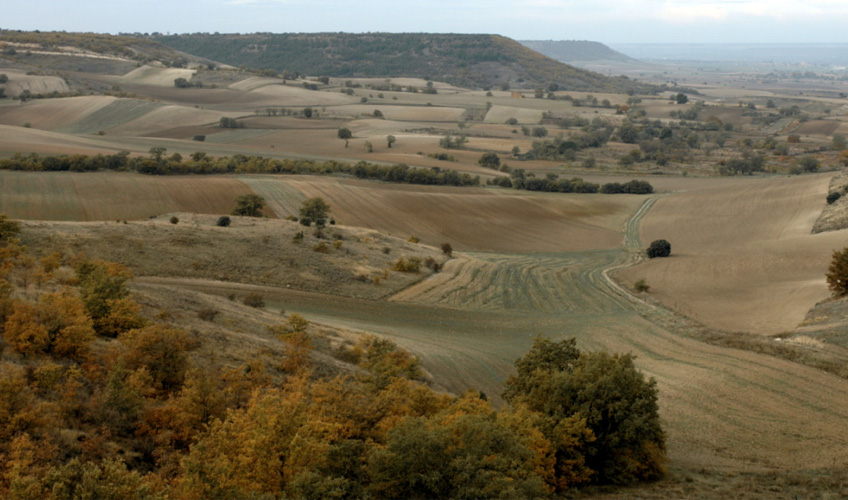 Arturo Dueñas. Tierras construidas, 2019