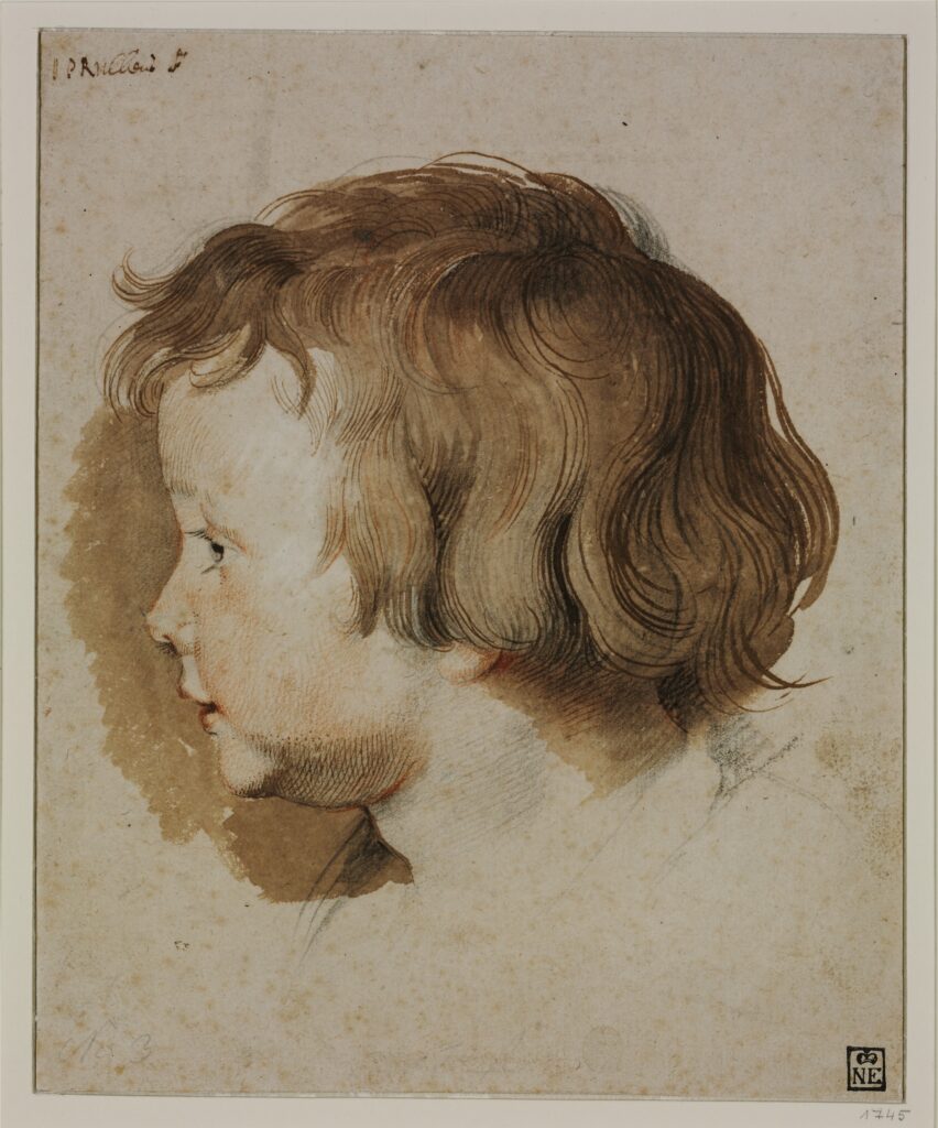 Rembrandt. Retrato de perfil del hijo del artista, Albert Rubens, hacia 1618-1619. © 2025 Museum of Fine Arts, Budapest