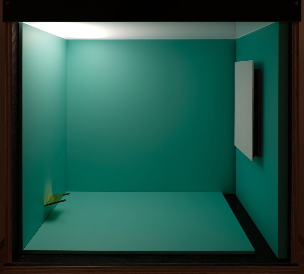 José Noguero. Espacio con ruego (no pasa nada) y pintura, 2024