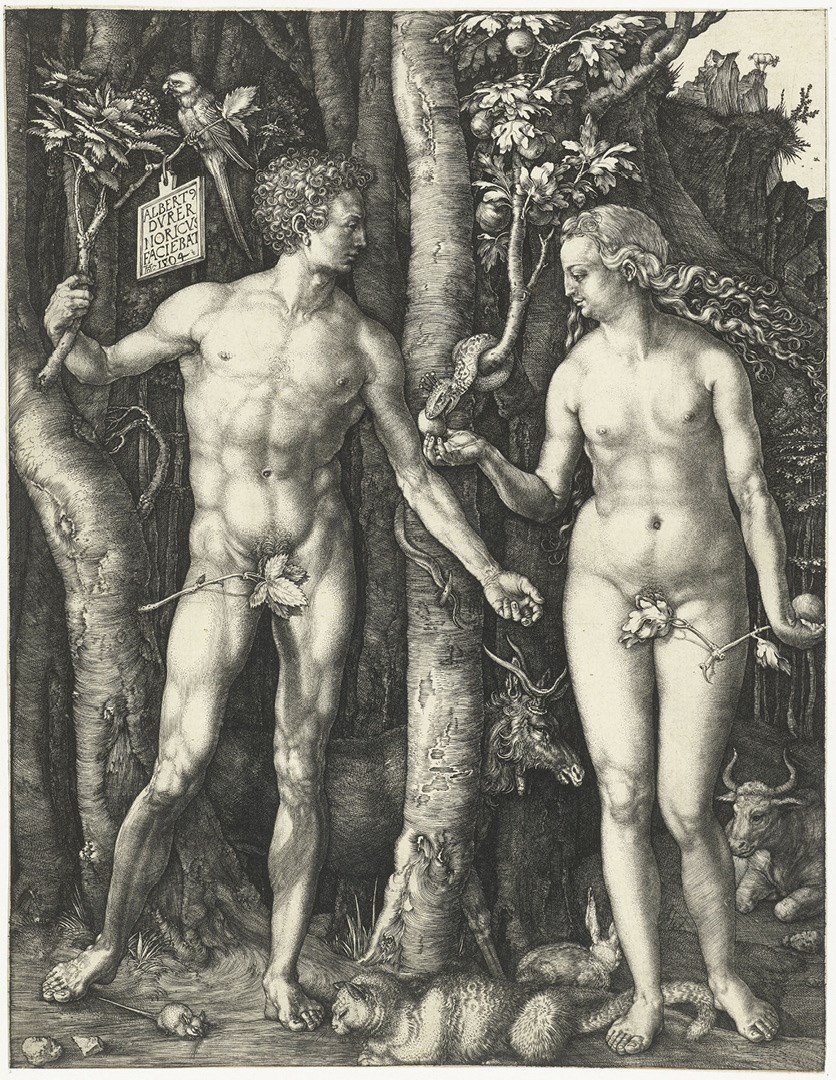 Durero. Adán y Eva, 1504. Rijksmuseum, Ámsterdam