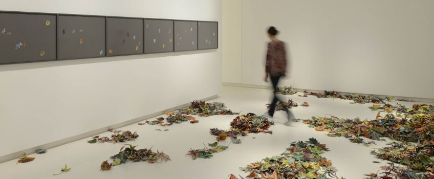 Vista de la exposición de Pae White, "Small World", en la Galería Elvira González