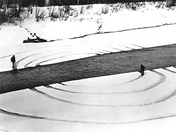 Dennis Oppenheim. Annual Rings, 1968