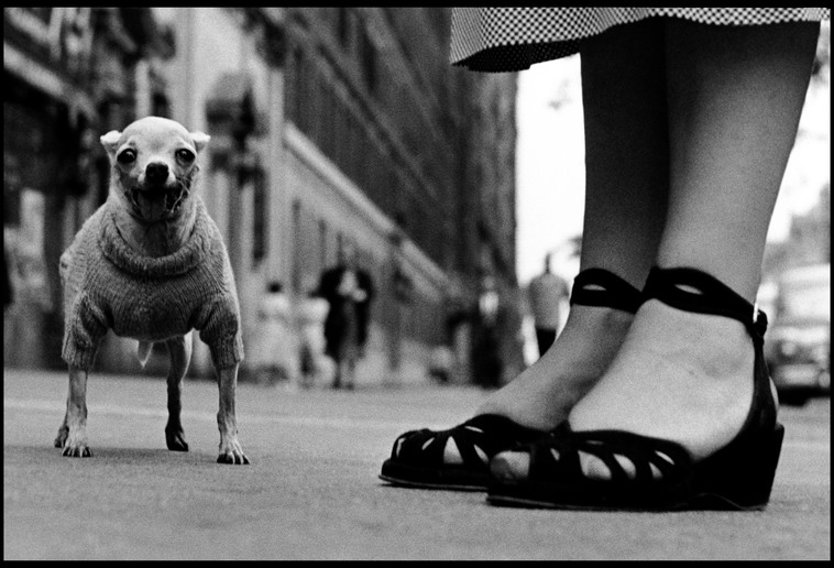 Elliott Erwitt. Nueva York, EE.UU., 1946. © Elliott Erwitt / Magnum Photos