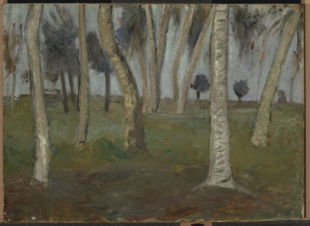 Paula Modersohn-Becker. Paisaje de humedal con troncos de abedul, hacia 1900. Museo de la Fantasía Buchheim en Bernried am Starnberger