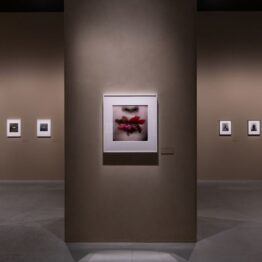 Irving Penn: Centennial. Cortesía de la Fundación MOP