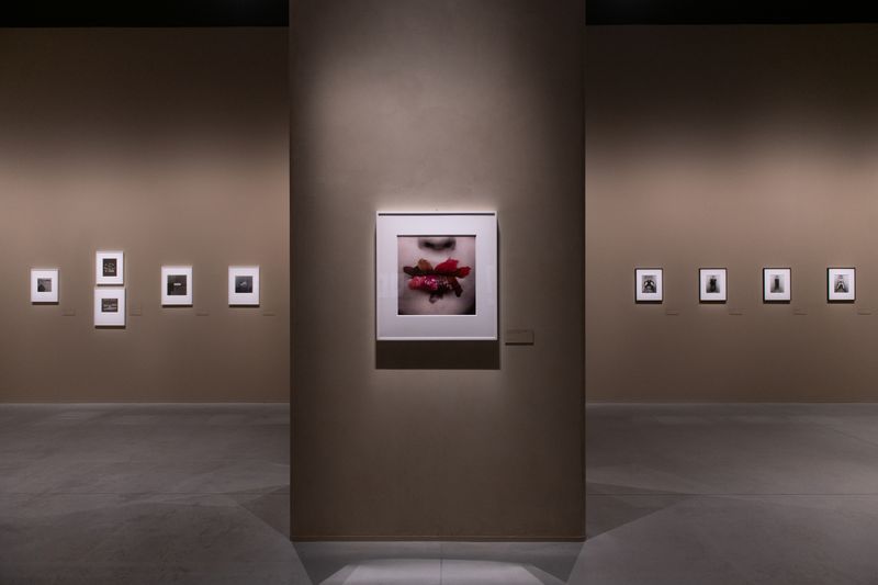 Irving Penn: Centennial. Cortesía de la Fundación MOP