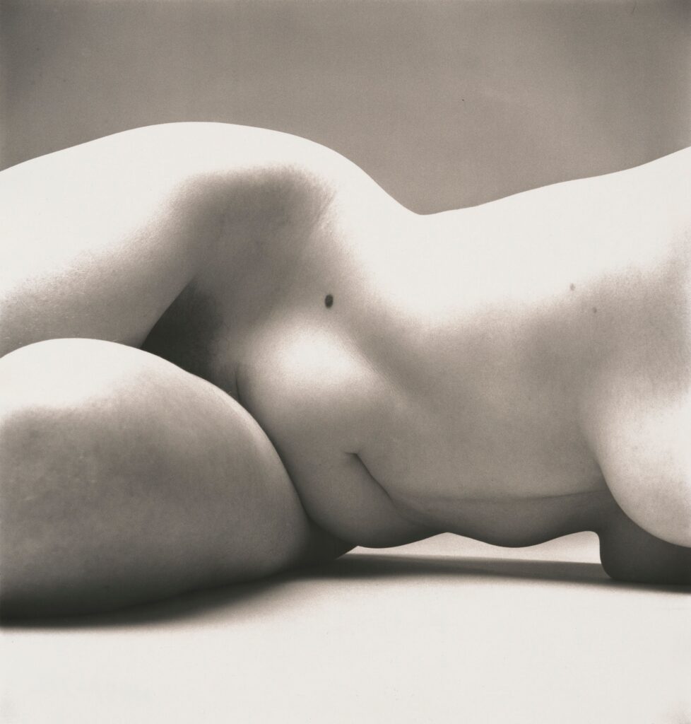 Irving Penn. Nude No 72, New York, 1949–1950