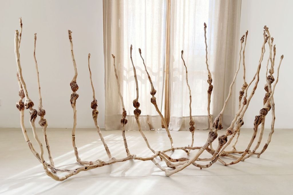 Hiroshi Kitamura. Secretos del bosque (costilla del bosque)_Foto Fundació NUMA