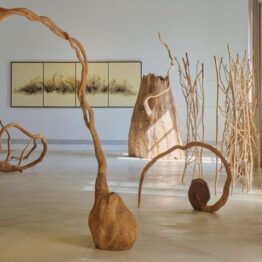 Hiroshi Kitamura, ayudante de la naturaleza