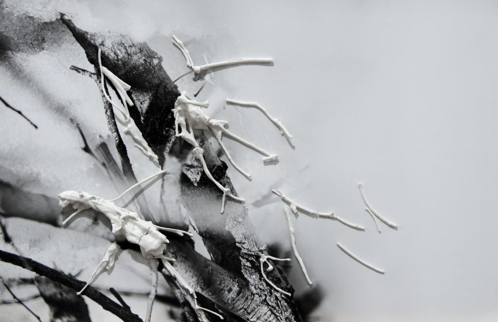 Concha García e Ignacio Llamas. Comprender no se hace con la razón. Galería Daniel Cuevas