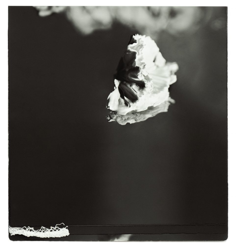 Concha García e Ignacio Llamas. Comprender no se hace con la razón. Galería Daniel Cuevas