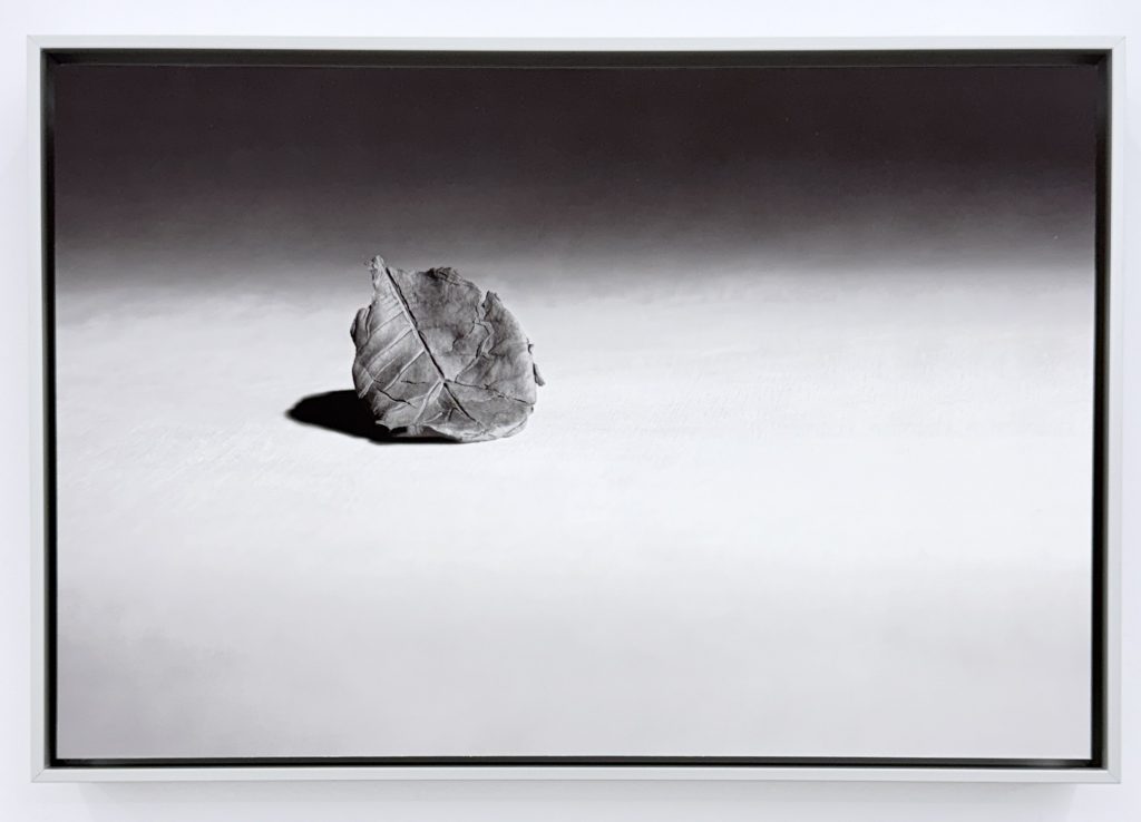 Concha García e Ignacio Llamas. Comprender no se hace con la razón. Galería Daniel Cuevas