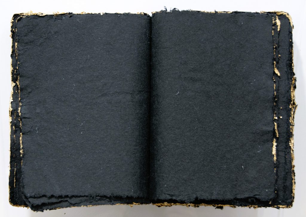 Concha García e Ignacio Llamas. Comprender no se hace con la razón. Galería Daniel Cuevas