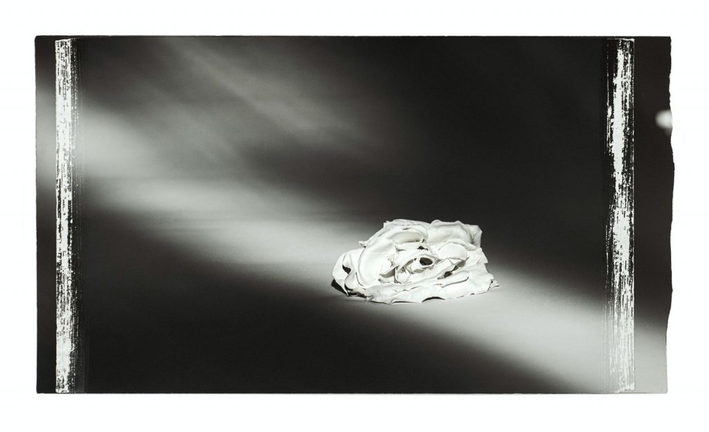 Concha García e Ignacio Llamas. Comprender no se hace con la razón. Galería Daniel Cuevas