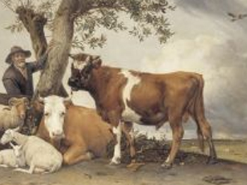 Paulus Potter. De stier, 1647