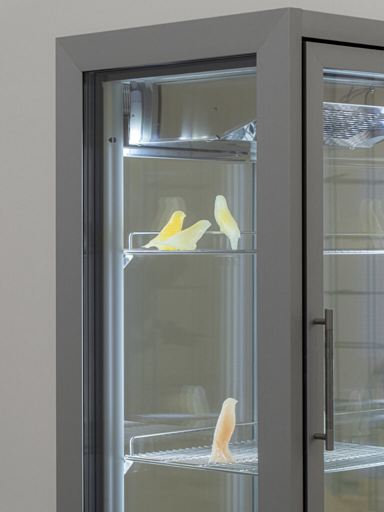 Generaciones 2026. La Casa Encendida. Fotografía: Maru Herrero