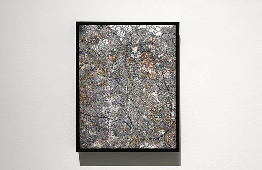 Santiago Giralda. "Four seasons" en la Galería Moisés Pérez de Albéniz