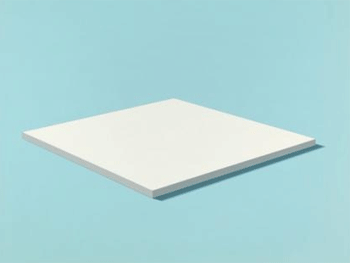 Daan van Golden, White Painting, 1966. Museum Boijmans Van Beuningen, Rotterdam. Bruikleen van Rijksdienst voor het Cultureel Erfgoed.