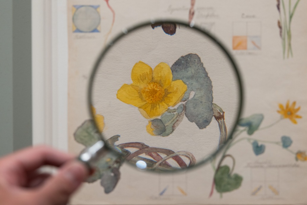 Hilma af Klint. What Stands Behind the Flowers. MoMA, Nueva York