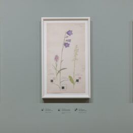 Hilma af Klint detrás de las flores