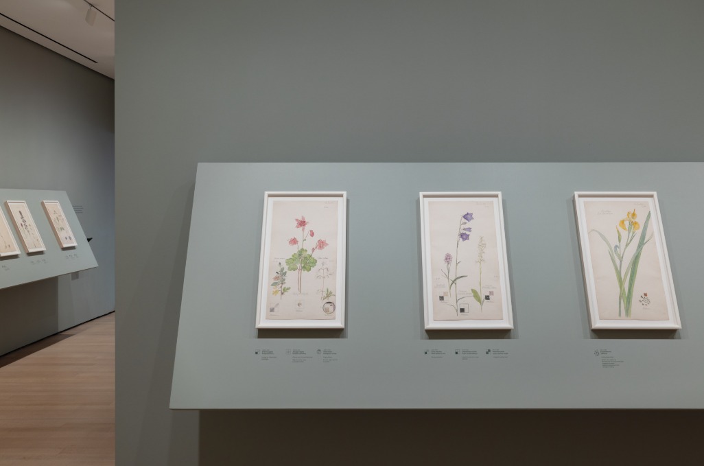 Hilma af Klint. What Stands Behind the Flowers. MoMA, Nueva York