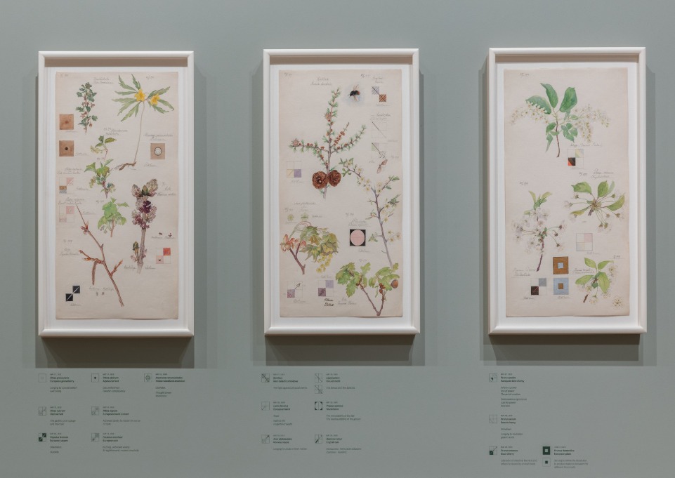 Hilma af Klint. What Stands Behind the Flowers. MoMA, Nueva York