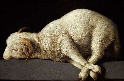 Zurbarán. Agnus Dei