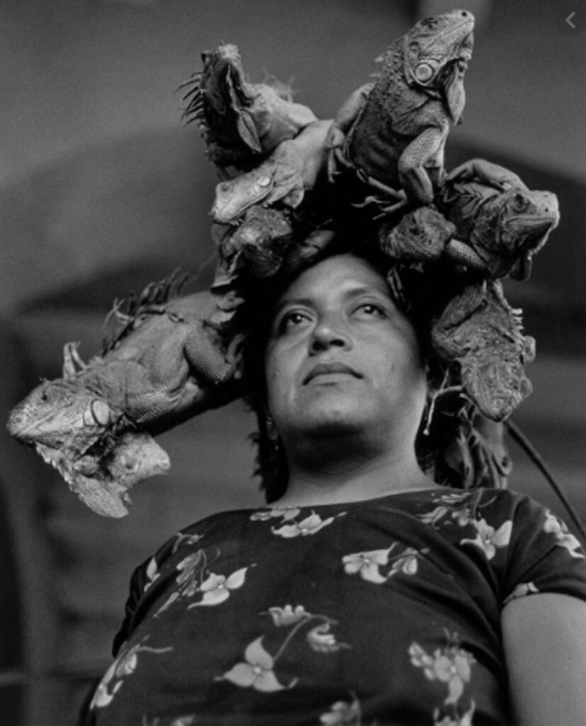 Graciela Iturbide. Nuestra Señora de las Iguanas. Juchitán. México, 1979