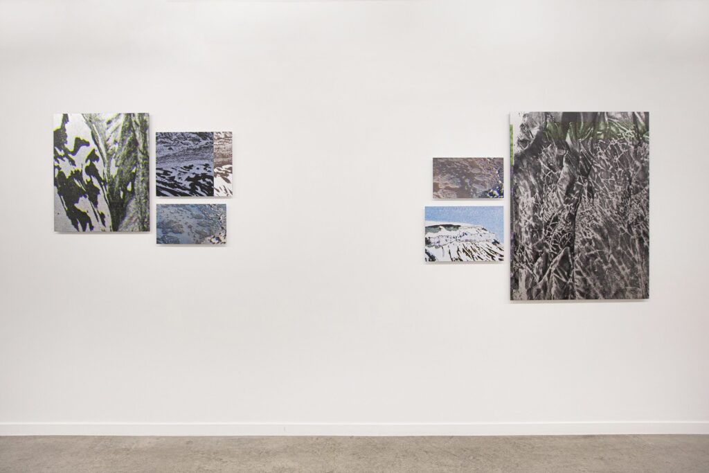 Manuel Diego Sánchez. Fisura y aliento. Galería Juan Silió