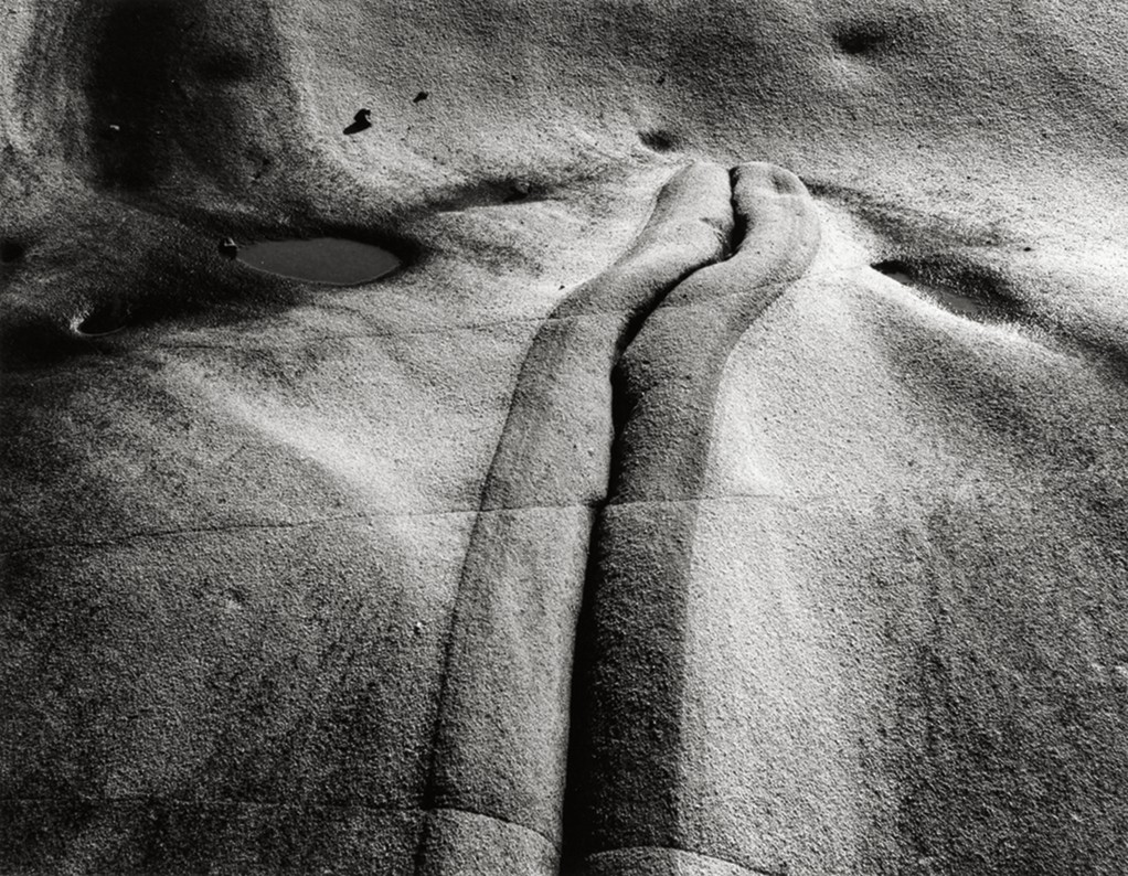 Minor White. Point Lobos State Park, California, de Fourth Sequence, 1950. The Minor White Archive, Princeton University Art Museum, llegat de Minor White © Trustees of Princeton University