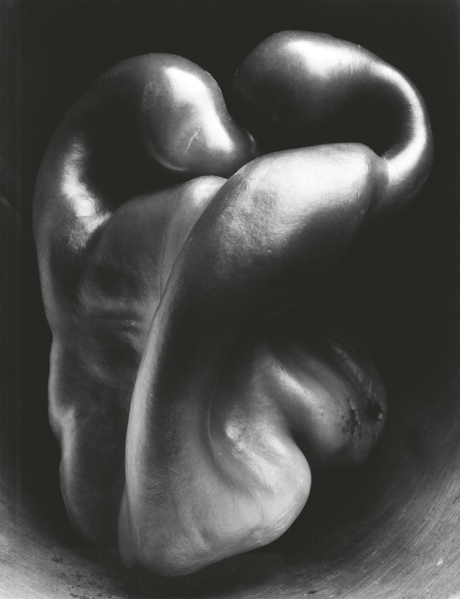 Edward Weston. Pimiento n.o 30, 1930. Cortesía de Trockmorton Fine Art