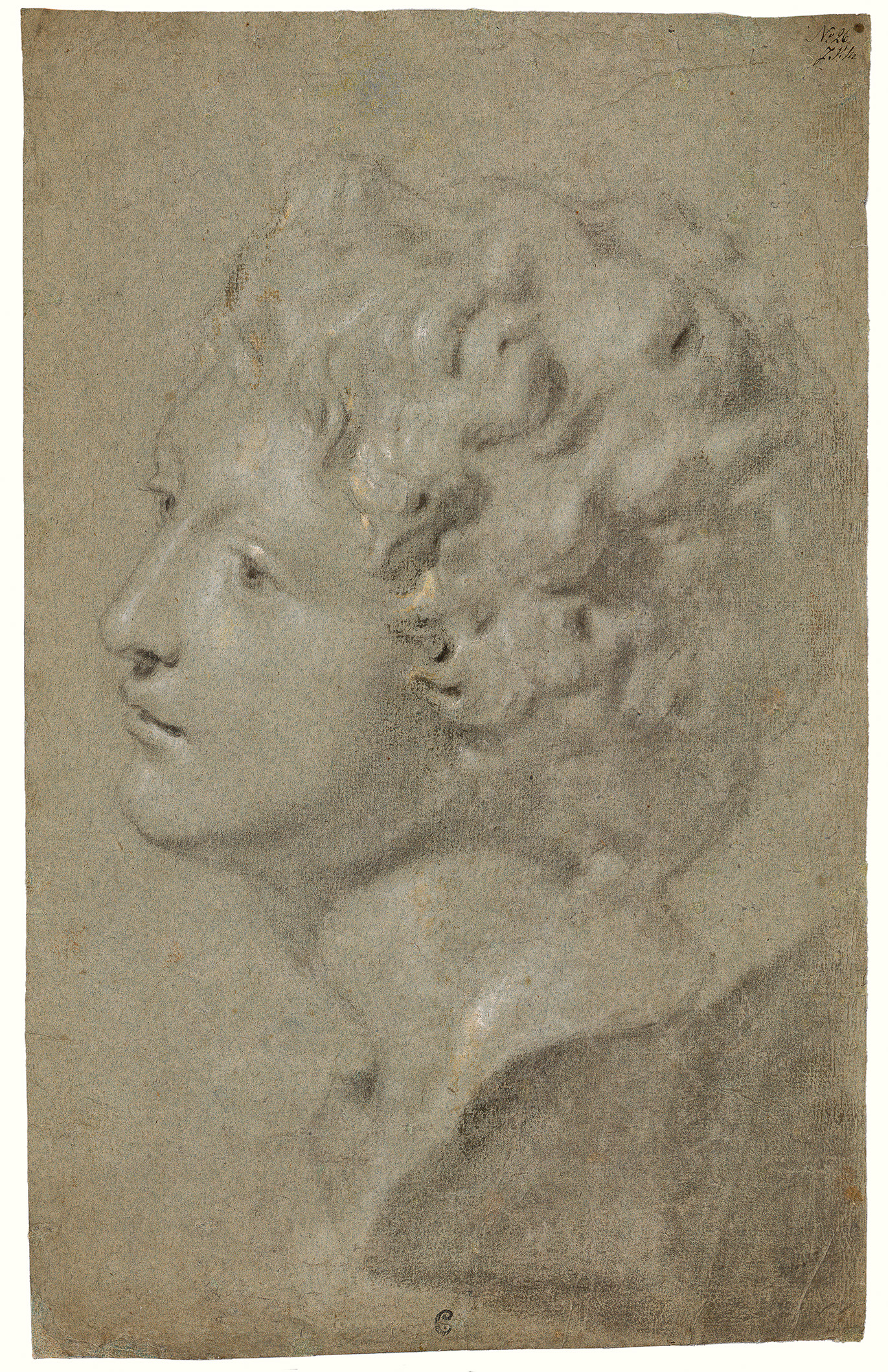 Michaelina Wautier. Estudio de un busto de Ganimedes, el Medici, hacia 1640-1650. Colección privada