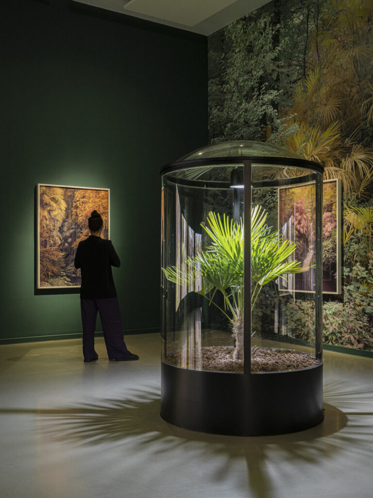 Drift. Yann Gross. La Casa Encendida