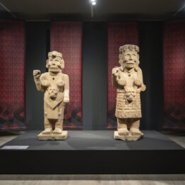 La mitad del mundo: cuatro miradas al México indígena