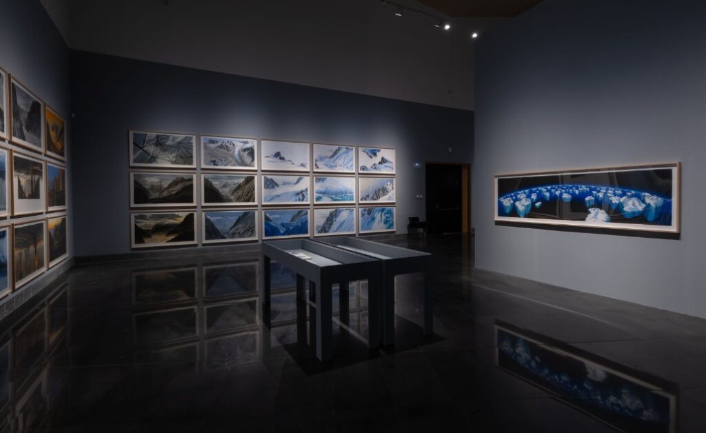 Natura fugit. Jesus Mari Lazkano. Museo Universidad de Navarra