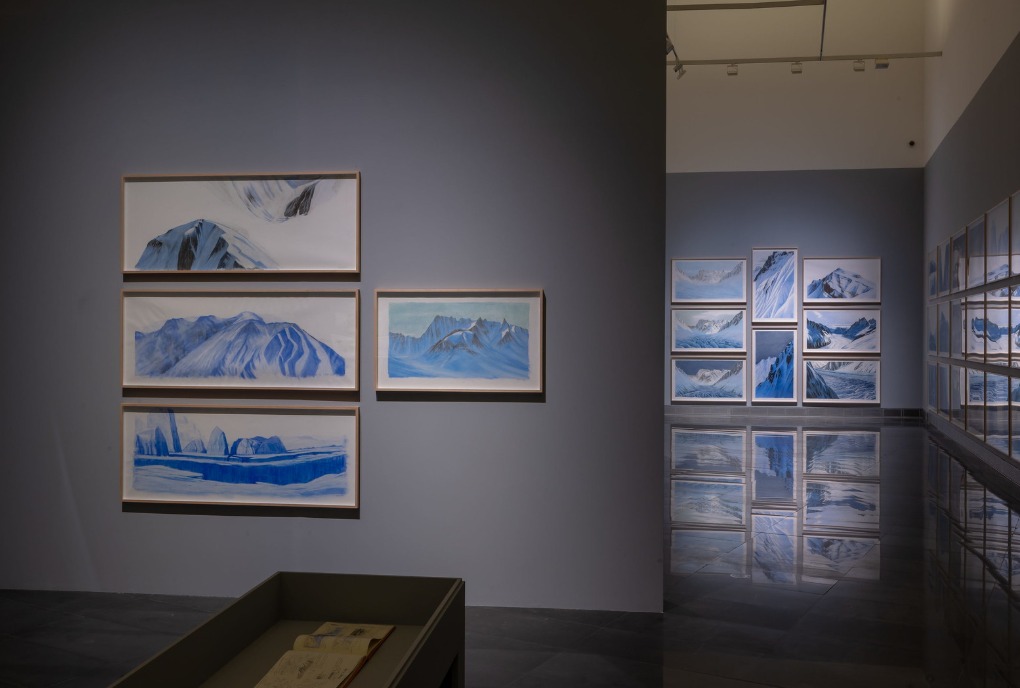 Natura fugit. Jesus Mari Lazkano. Museo Universidad de Navarra