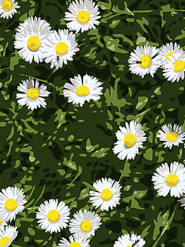 Julian Opie. Daisies, 2012