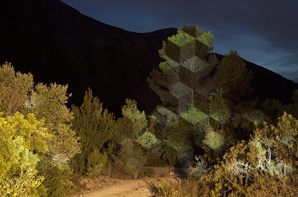 Javier Riera. "Campo de presencia". Galería Llamazares