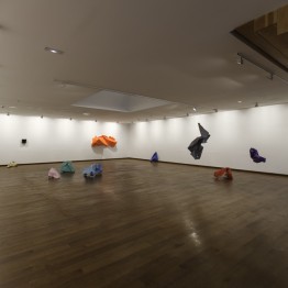 Carlos Maciá. Instalación de la serie Makers en la Fundación Luis Seoane, 2017