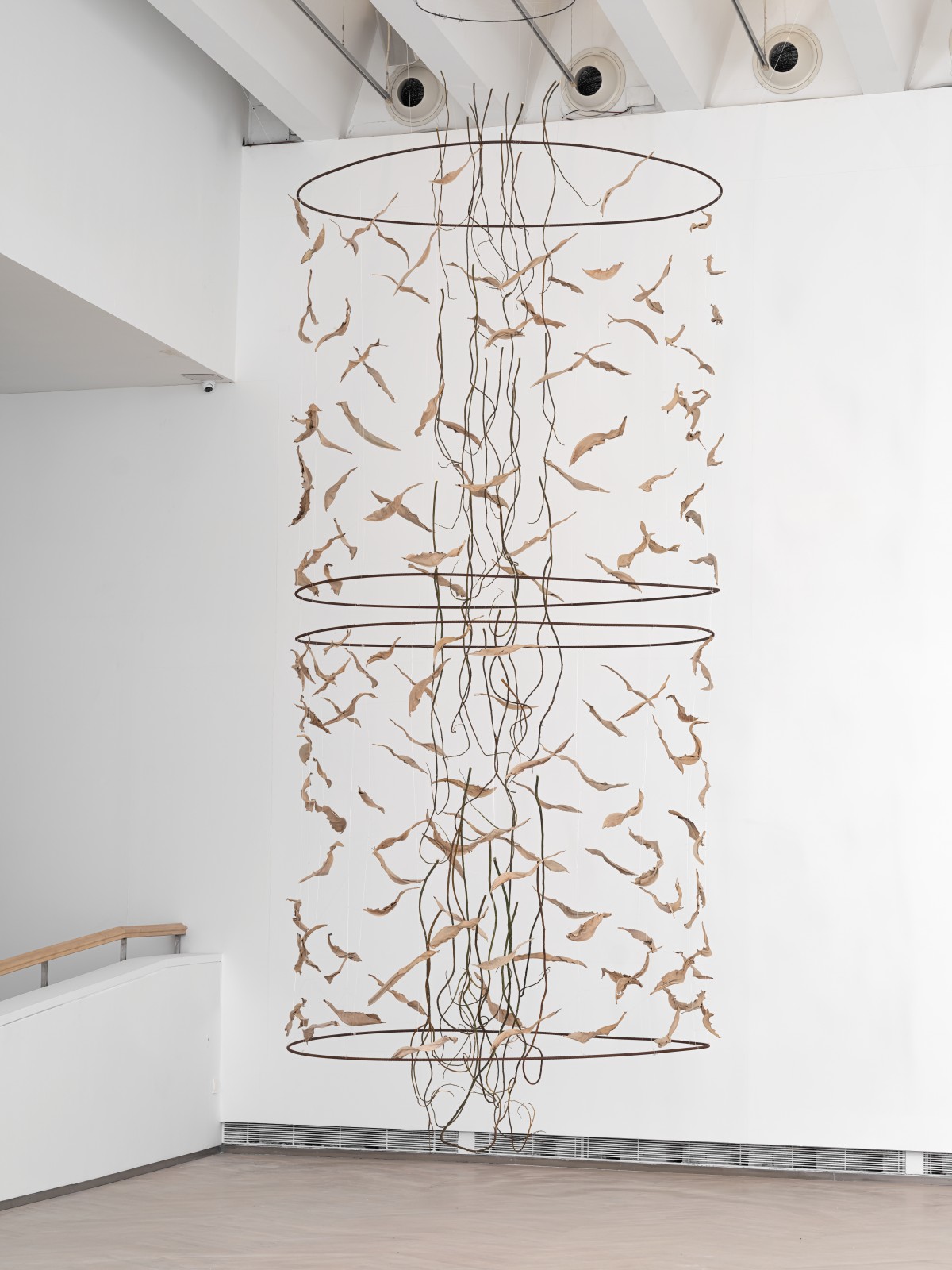 María Cueto. Árbol de sueños, 2004. Fotografía: Juantxo Egaña
