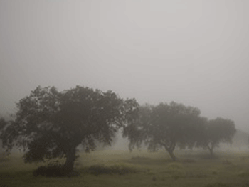 Manuel Vilariño. Fragmentos de un viaje