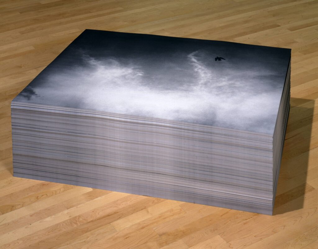Félix González-Torres. Sin título, 1992-1993. The San Francisco Museum of Modern Art